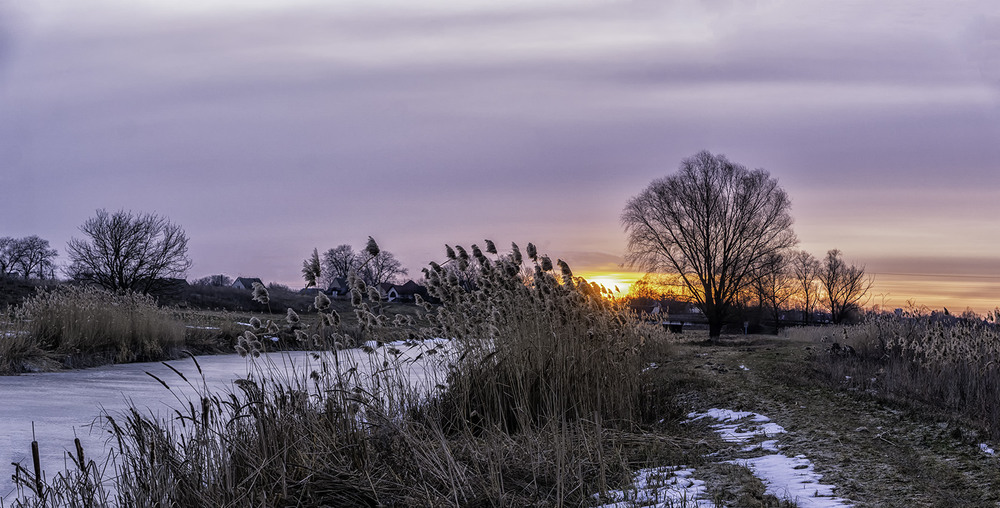 Фотографія *** / Farernik / photographers.ua