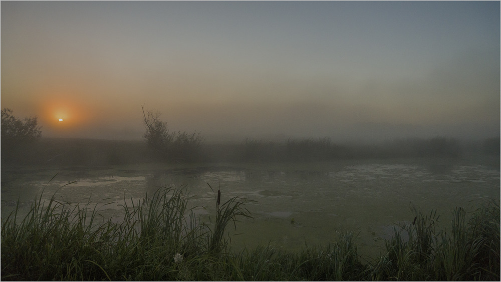 Фотографія Туманний світанок... / Farernik / photographers.ua