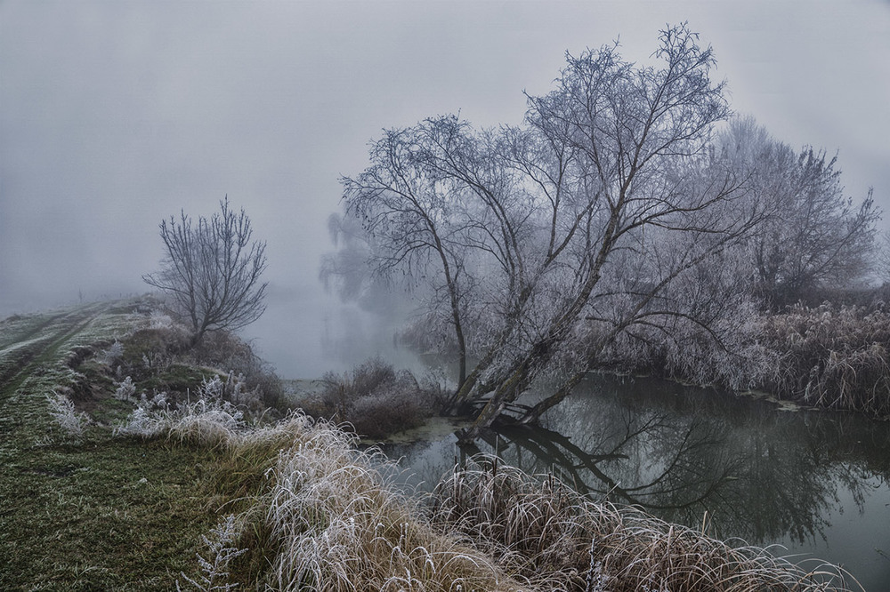 Фотографія У воду з берегом... Миколині тумани / Farernik / photographers.ua