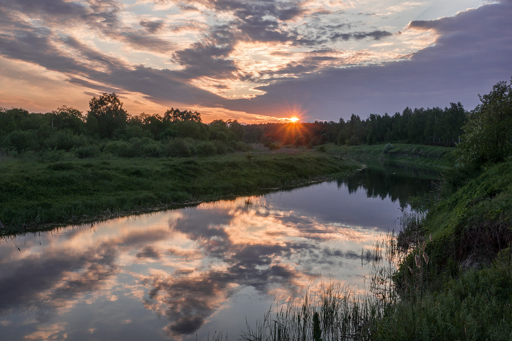 Фотографія *** / Farernik / photographers.ua