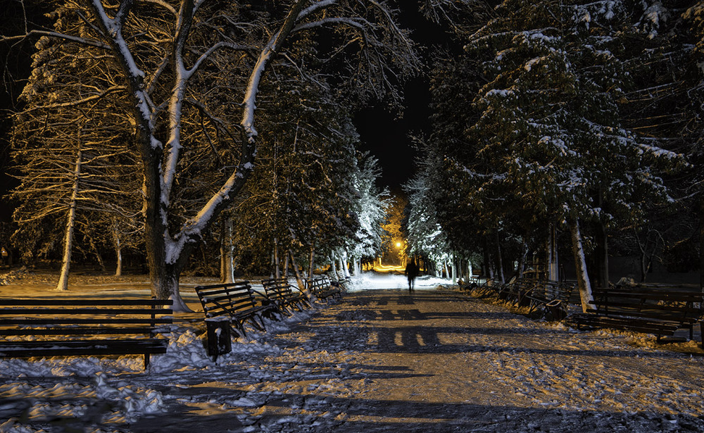 Фотографія Ніч в парку... / Farernik / photographers.ua