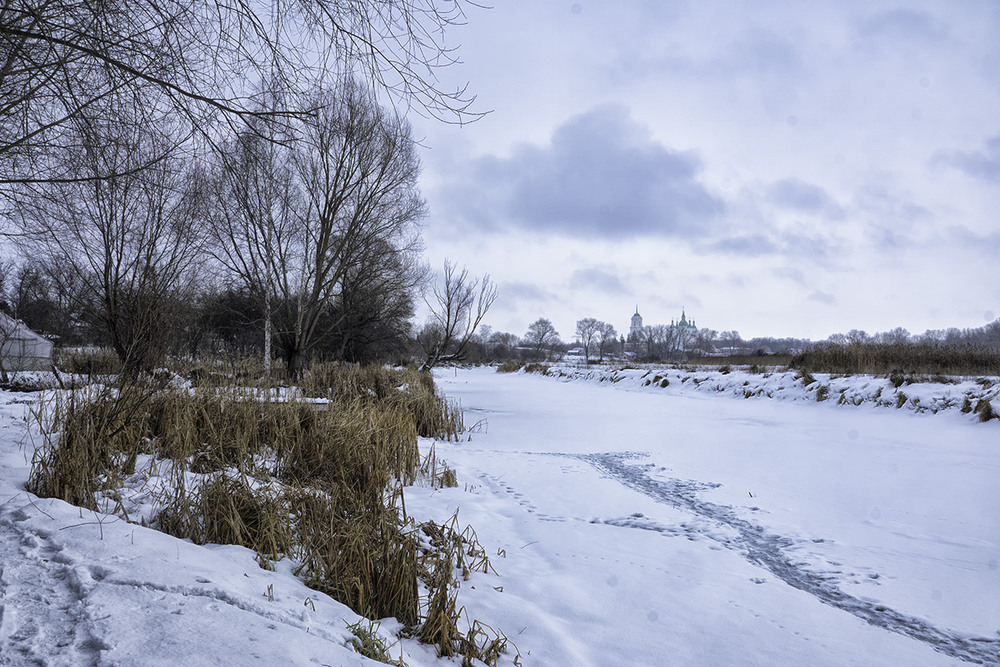 Фотографія Зима в Козельці... / Farernik / photographers.ua