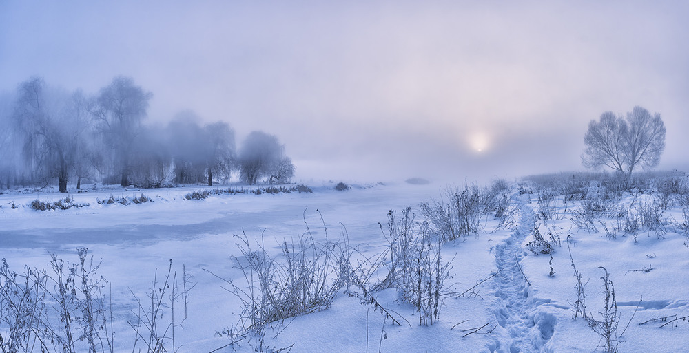 Фотографія Сонце в тумані... Миколині тумани. / Farernik / photographers.ua