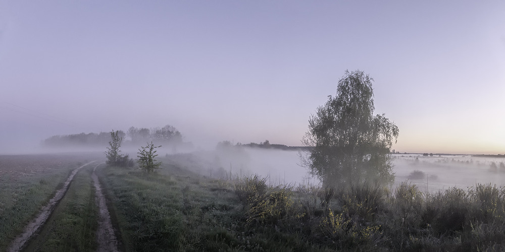 Фотографія Миколині тумани... / Farernik / photographers.ua
