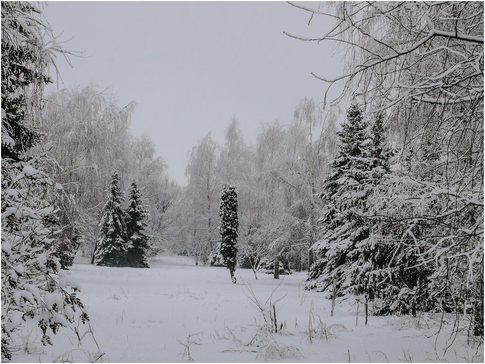 Фотографія Пізня зима... / Farernik / photographers.ua