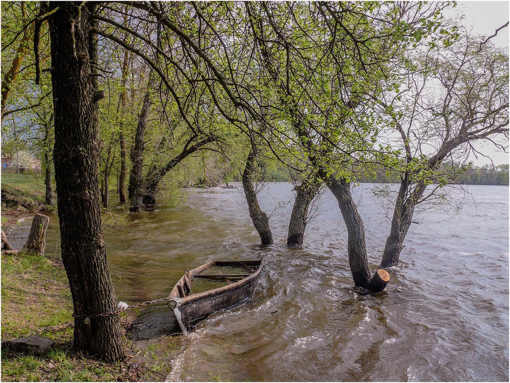 Фотографія Пливе човен, води повен... / Farernik / photographers.ua