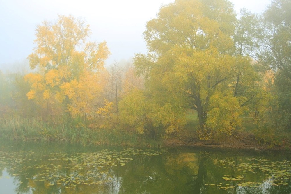 Фотографія Жовтень над Хоролом / Ганна Козельська / photographers.ua