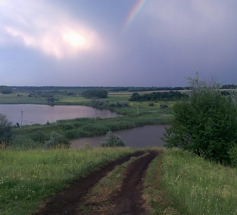 Фотографія После дождя... / Макс Швец / photographers.ua