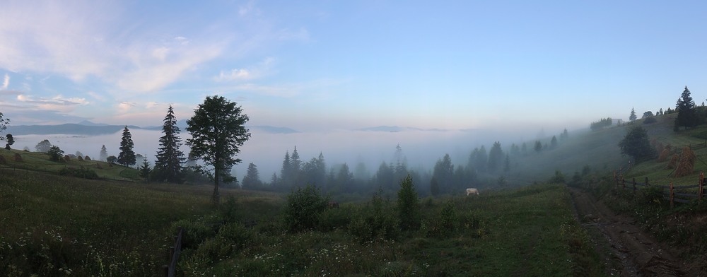Фотографія Яблунівські тумани / Григорович / photographers.ua