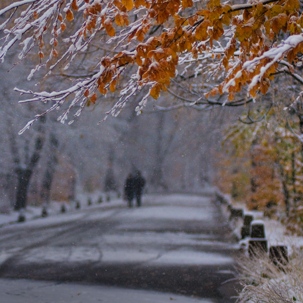 Фотографія первый снег / Вячеслав Белоус / photographers.ua