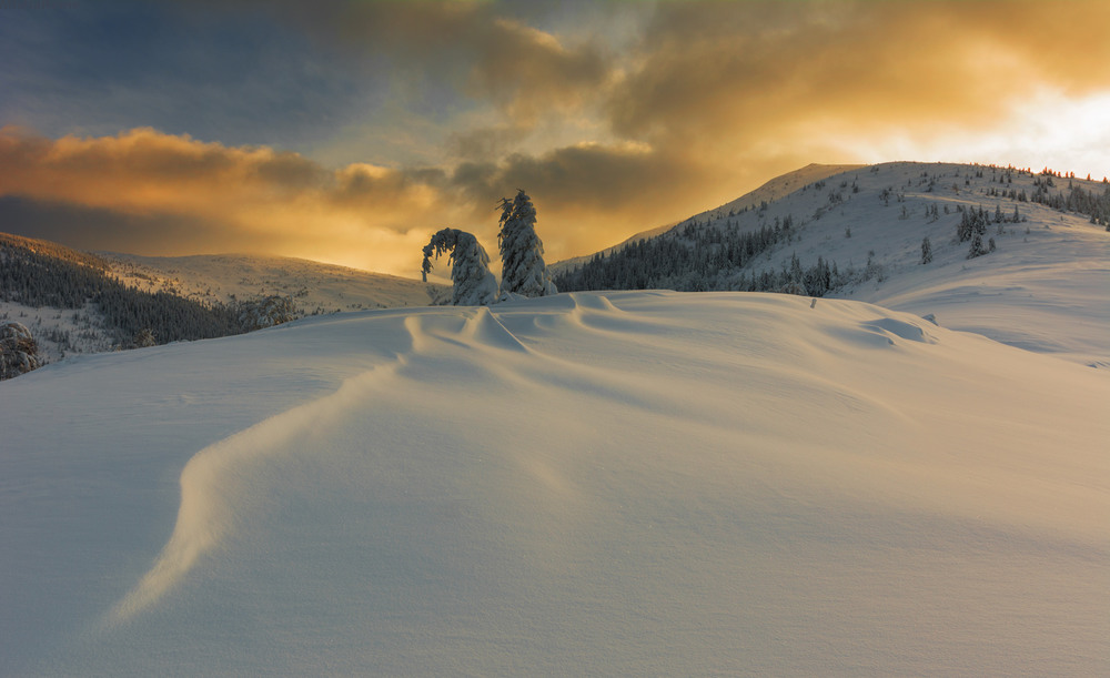 Фотографія Зимові красуні / Ременюк / photographers.ua