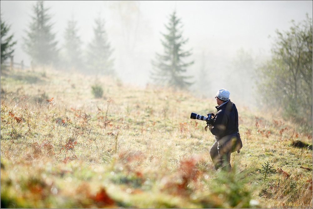 Фотографія В поисках правильного кадра.. / Шевченко Александр / photographers.ua