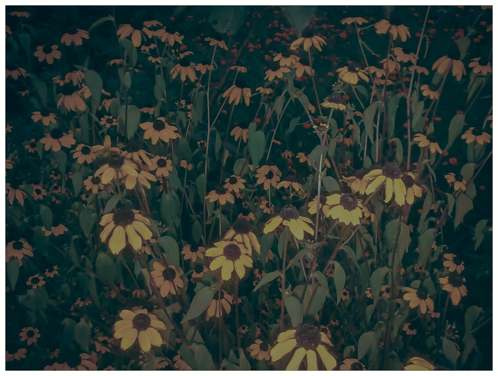 Фотографія Разное / Artku / photographers.ua