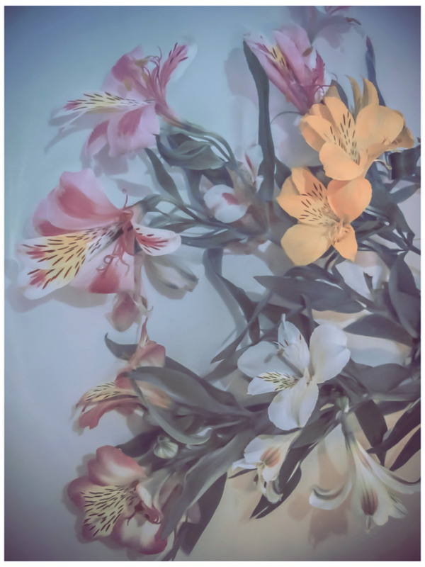 Фотографія Разное / Artku / photographers.ua