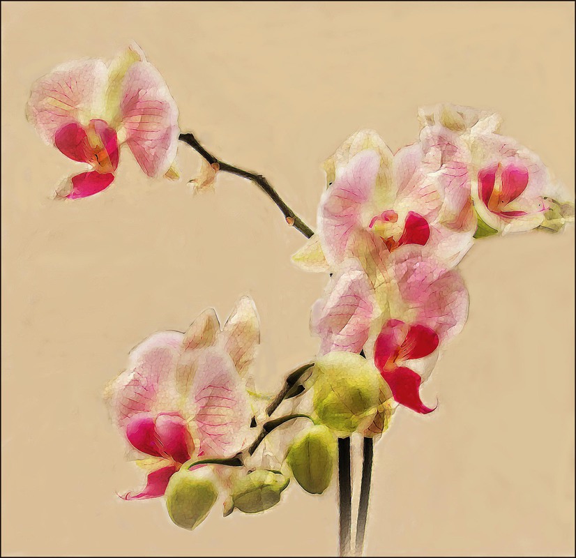 Фотографія Разное / Artku / photographers.ua