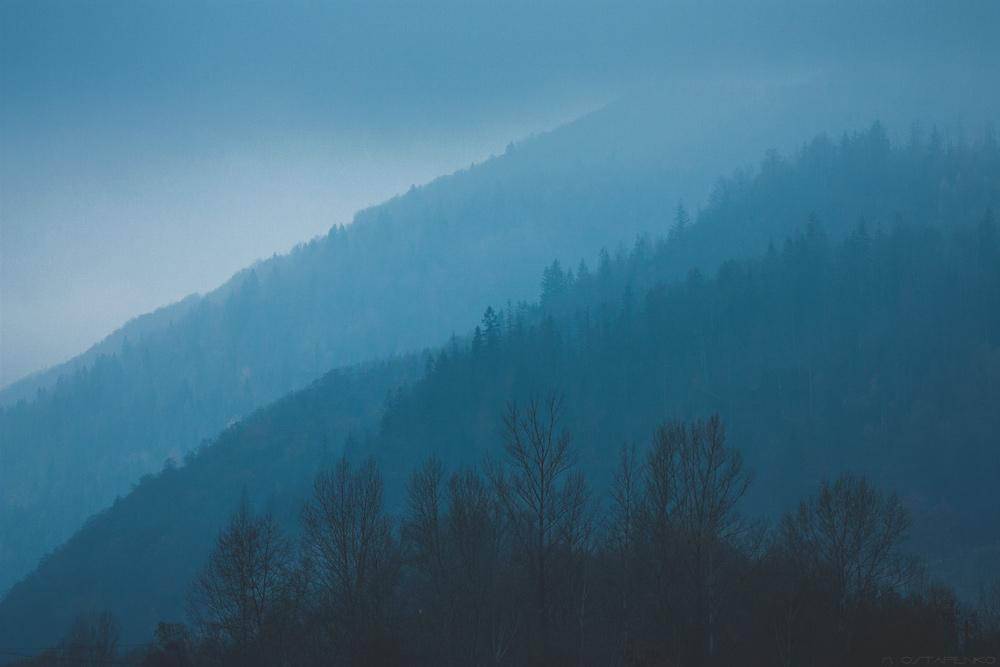 Фотографія Туман у горах / Максим Остапенко / photographers.ua