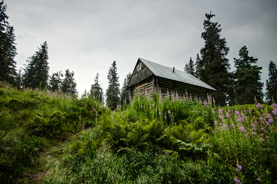 Фотографія дом в лесу / Piligrim / photographers.ua