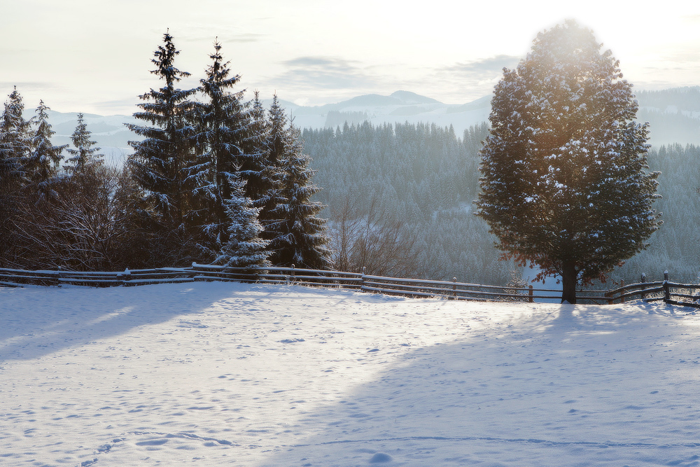 Фотографія завершение дня / Piligrim / photographers.ua