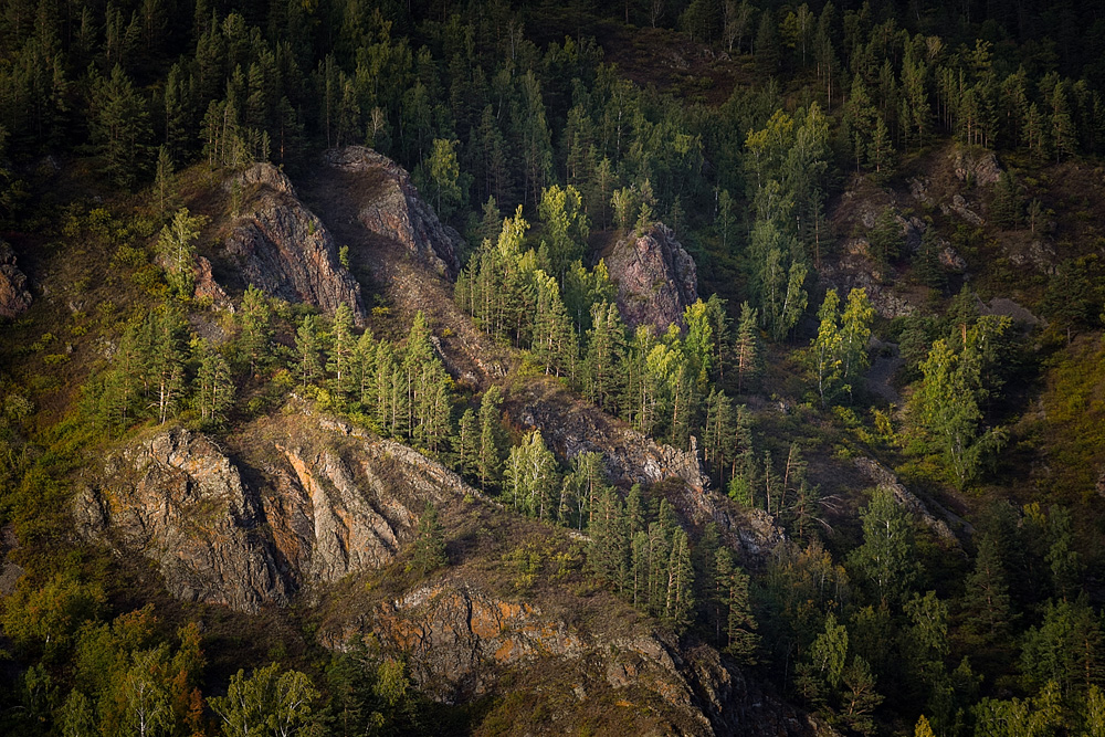 Фотографія Перед уходом солнца / Victoria Bykanova / photographers.ua