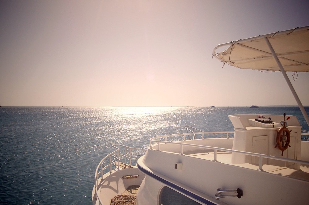 Фотографія Мне бы в лето... / Алла Чудович / photographers.ua