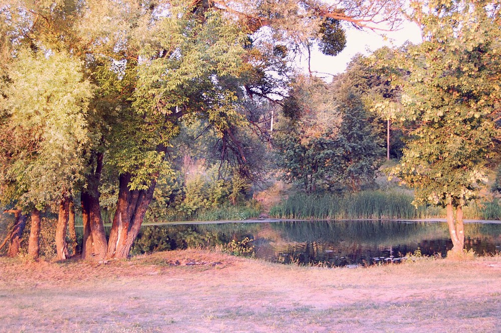 Фотографія Утро...Рось / Алла Чудович / photographers.ua