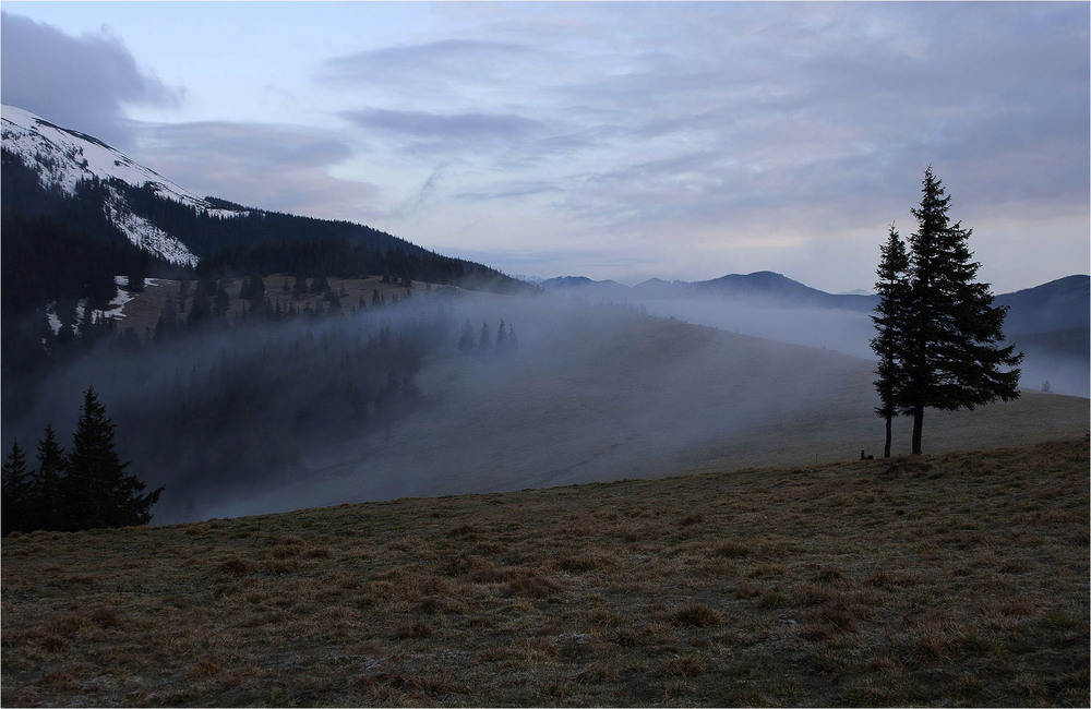 Фотографія Таємничі карпатські тумани-3... / Кирильчук Ната / photographers.ua