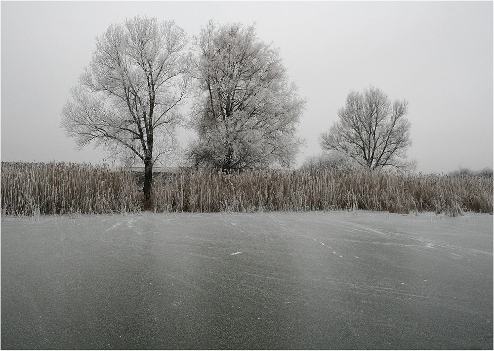 Фотографія Перший лід... / Кирильчук Ната / photographers.ua