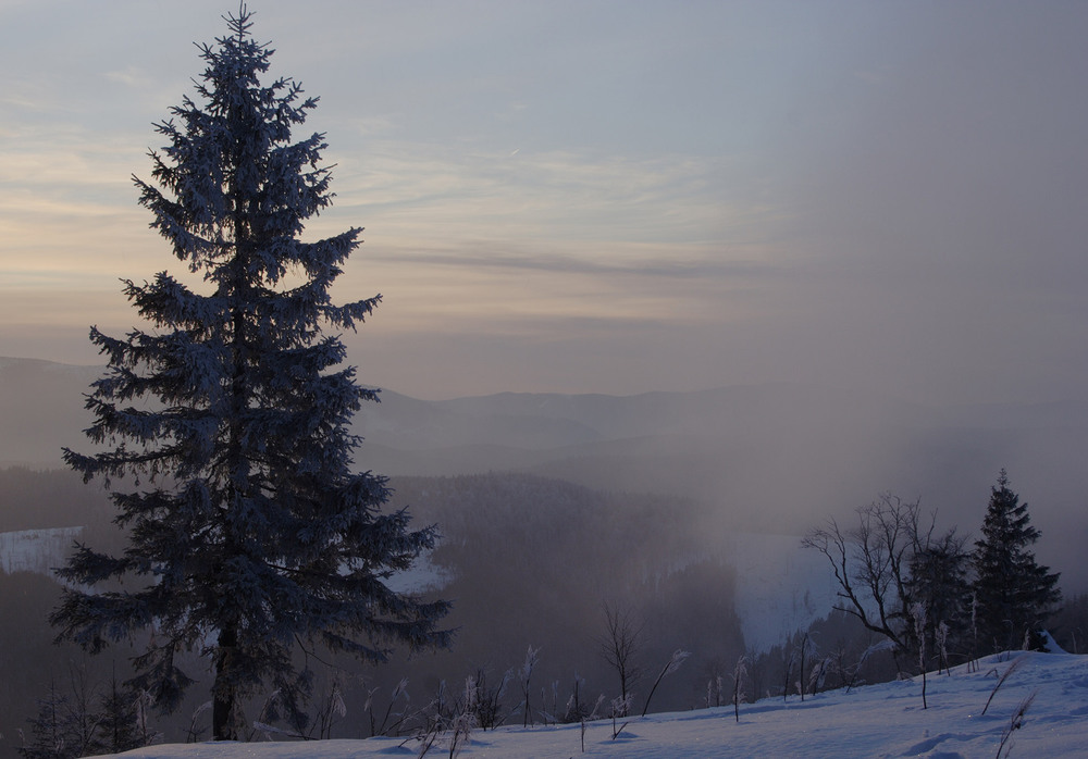 Фотографія Туман наступає (майже за Стівеном Кінгом)... / Кирильчук Ната / photographers.ua