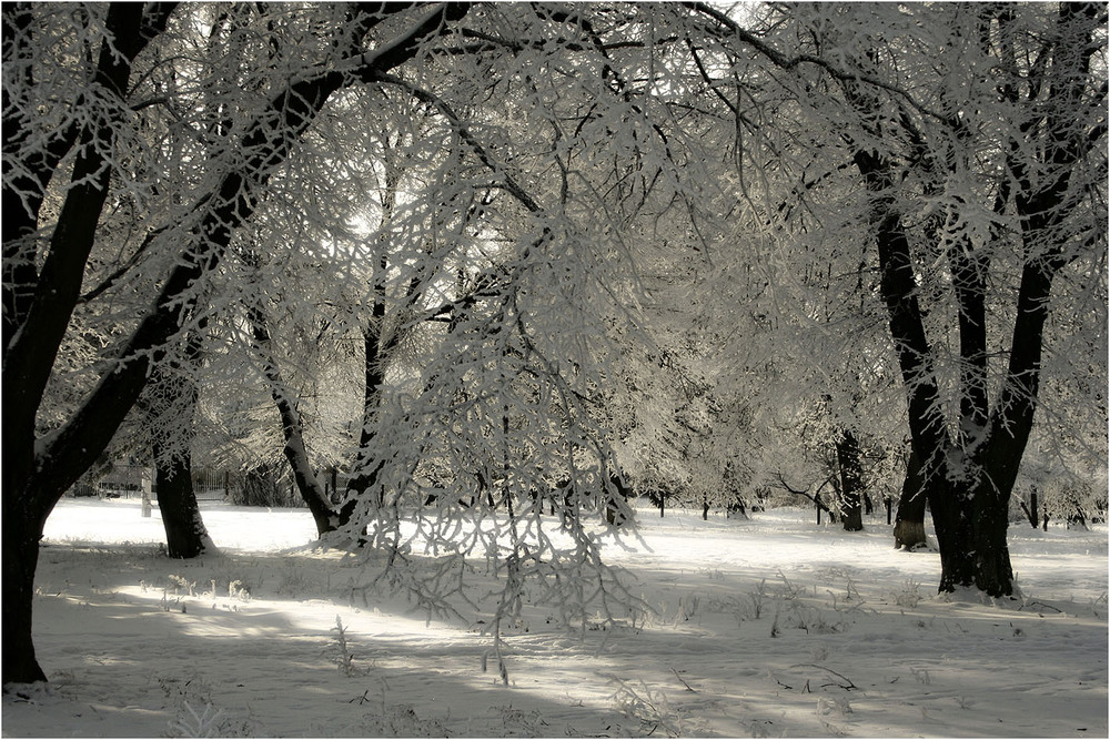 Фотографія Зима, зима 2... / Кирильчук Ната / photographers.ua