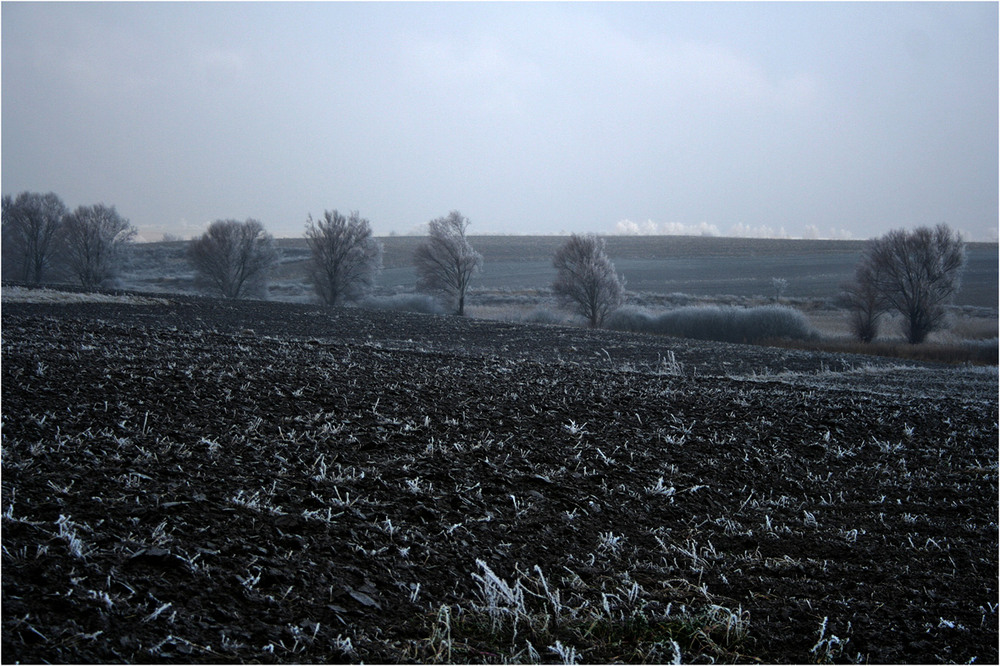 Фотографія Зимово-польовий пейзаж 2... / Кирильчук Ната / photographers.ua
