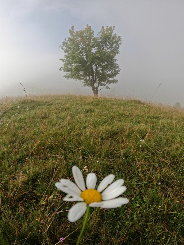 Фотографія In The Fog / Vladimir Tochanenko / photographers.ua
