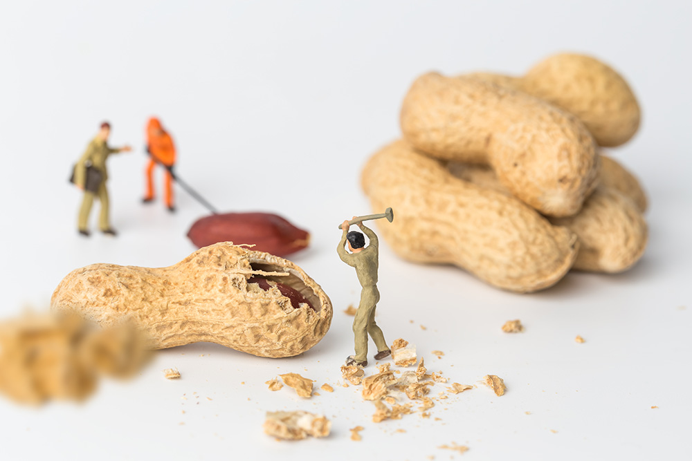 Фотографія Решил пивком с орешками побаловаться, а орехи то неочищенные! / Vladimir Tochanenko / photographers.ua