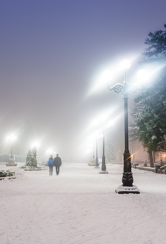 Фотографія Первый снег в Киеве / Vladimir Tochanenko / photographers.ua