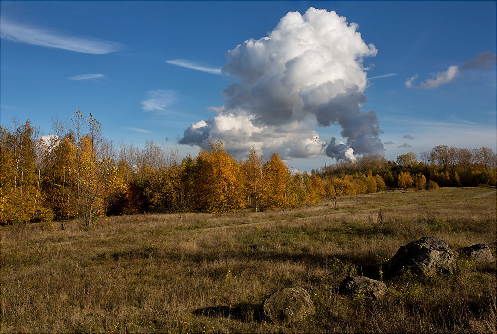 Фотографія Рыжая осень / Irina S / photographers.ua