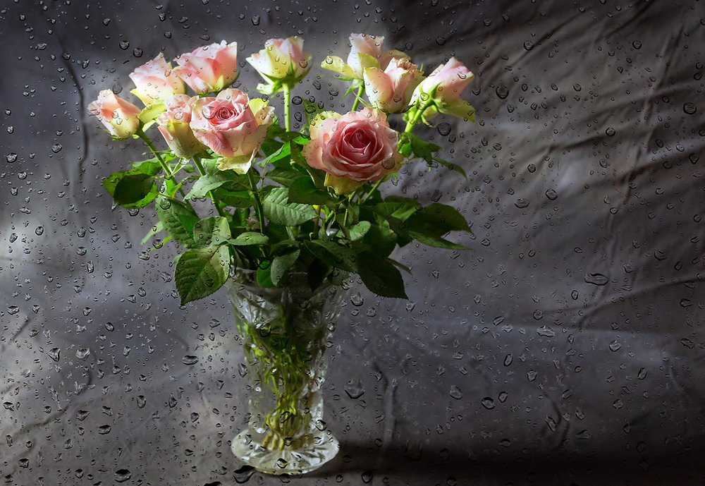 Фотографія про дождь и розы / Irina S / photographers.ua