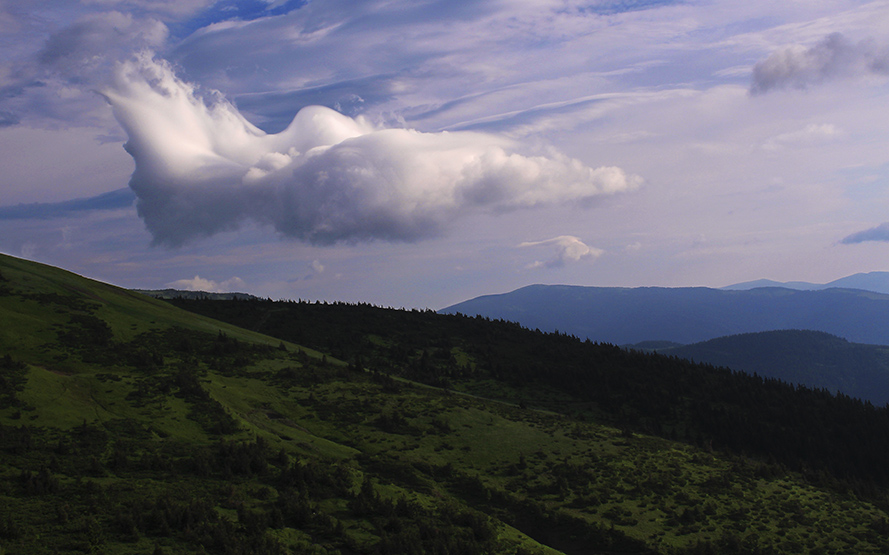 Фотографія Пролітаючи над горами.. / Елена Янюк / photographers.ua