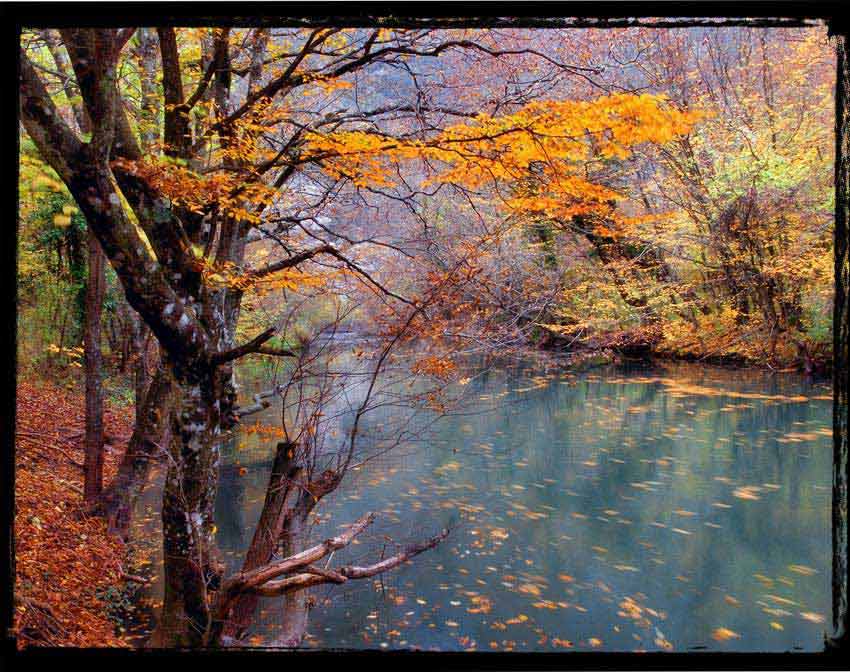 Фотографія Осень на Черной речке / Slon / photographers.ua