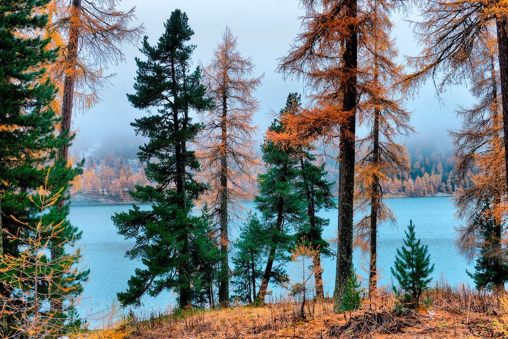 Фотографія осенний вид на озеро / Slon / photographers.ua