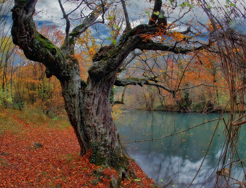 Фотографія Осень на Черной речке 2 / Slon / photographers.ua