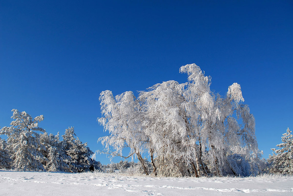 Фотографія Зимний день / Slon / photographers.ua