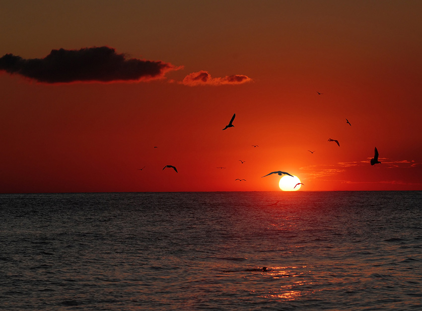 Фотографія Восход солнца из-за горизонта / Slon / photographers.ua