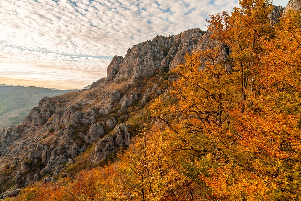 Фотографія Осень в горах / Антон Петрухин / photographers.ua