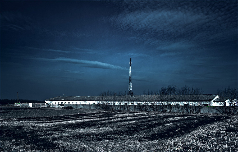 Фотографія Вокруг базовых станций не растет зелень... / Искусственный Интеллект / photographers.ua