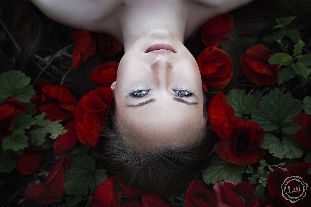 Фотографія Нимфа маковых полей / Людмила Луи / photographers.ua