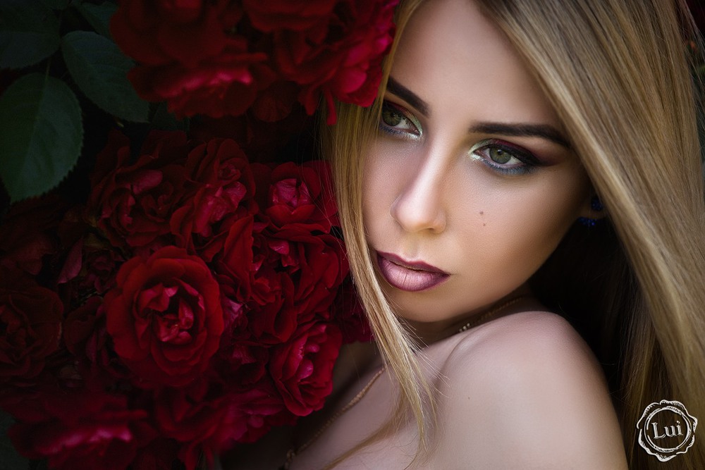 Фотографія Роза / Людмила Луи / photographers.ua