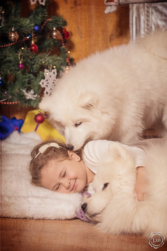 Фотографія Просыпайся, пора / Людмила Луи / photographers.ua