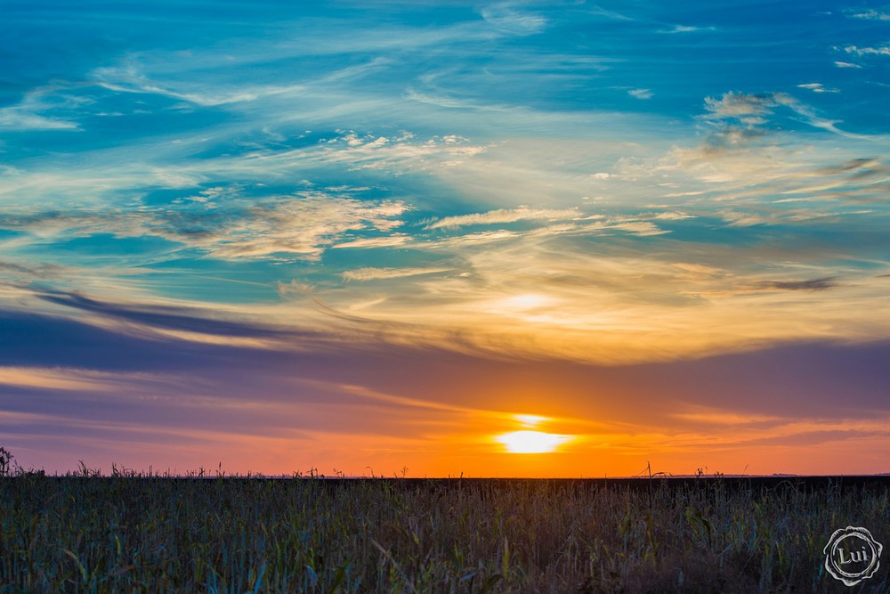 Фотографія Закат в полях / Людмила Луи / photographers.ua