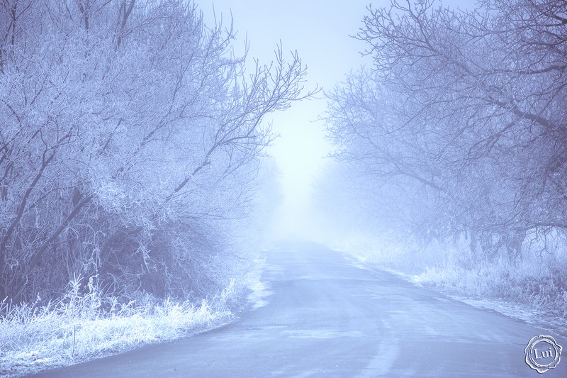 Фотографія Щось зимно.... / Людмила Луи / photographers.ua
