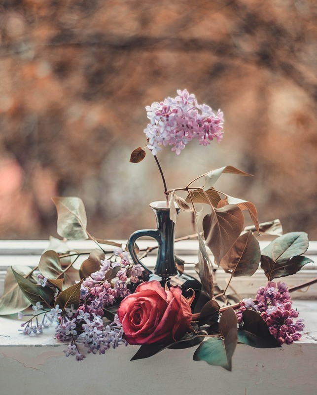 Фотографія Натюрморт / Анна Вдовиченко / photographers.ua