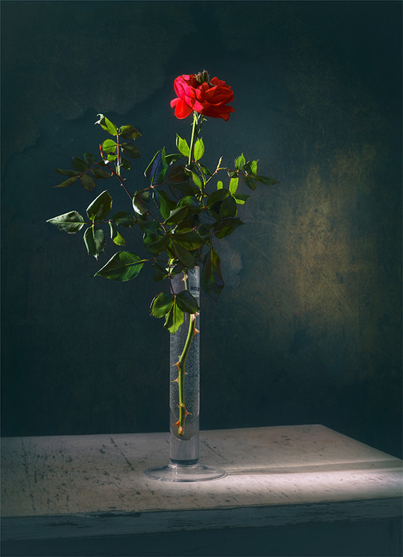 Фотографія натюрморт з квіткою / Михайло Шерман / photographers.ua